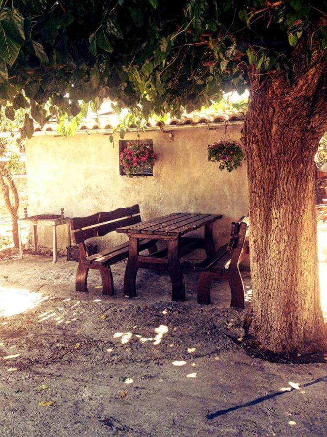 Villa Paporaki 22495 Pinakokhorion المظهر الخارجي الصورة